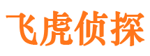 莱西市调查公司